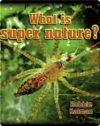 What Is Super Nature?