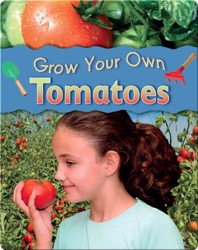 Tomatoes