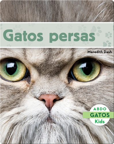 Gatos Persas