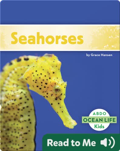 Seahorses