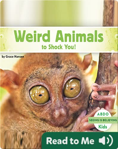 Weird Animals to Shock You!