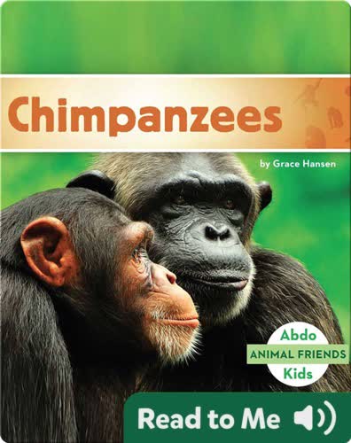 Chimpanzees