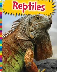 Reptiles