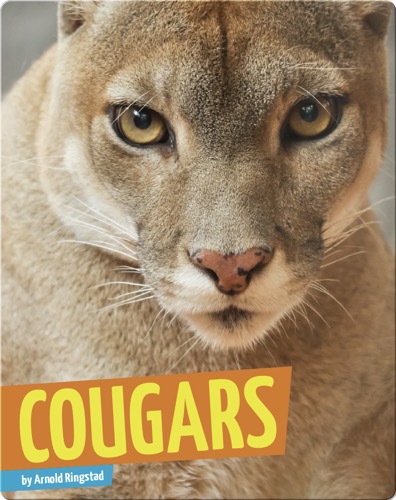 Cougars