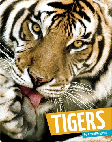 Tigers