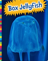 Box Jellyfish