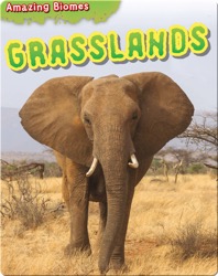 Grasslands