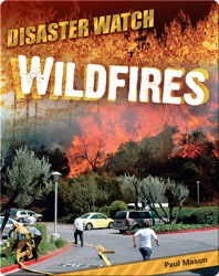 Wildfires