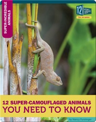12 Super-Camouflaged Animals You Need To Know