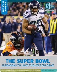 The Super Bowl 12 Reasons To Love The NFL's Big Game