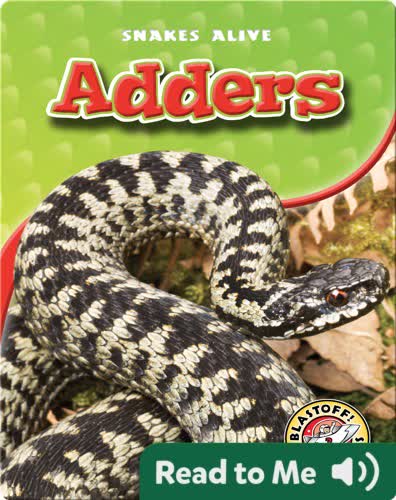 Adders