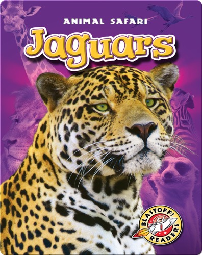 Jaguars