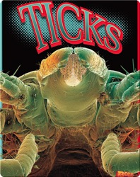 Ticks