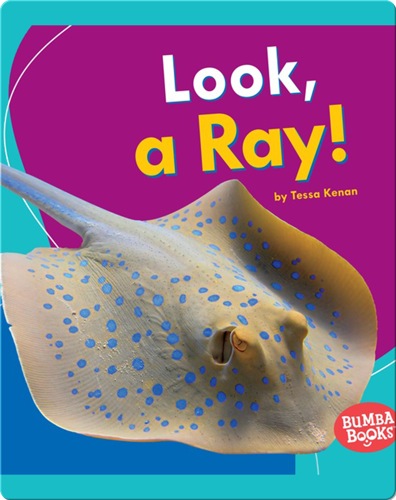 Look, a Ray!