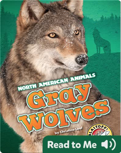 Gray Wolves
