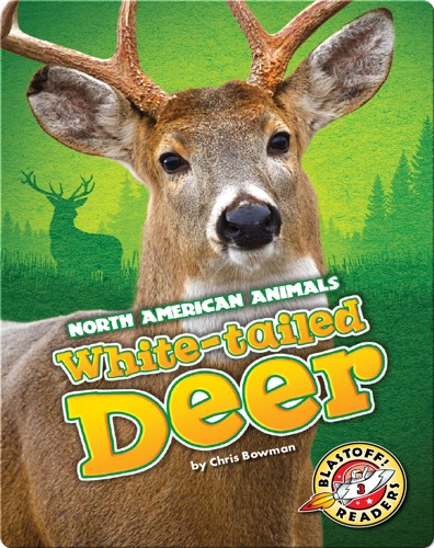 White-tailed Deer