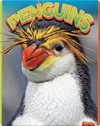 Penguins