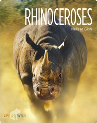 Rhinoceroses