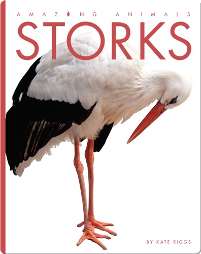 Storks
