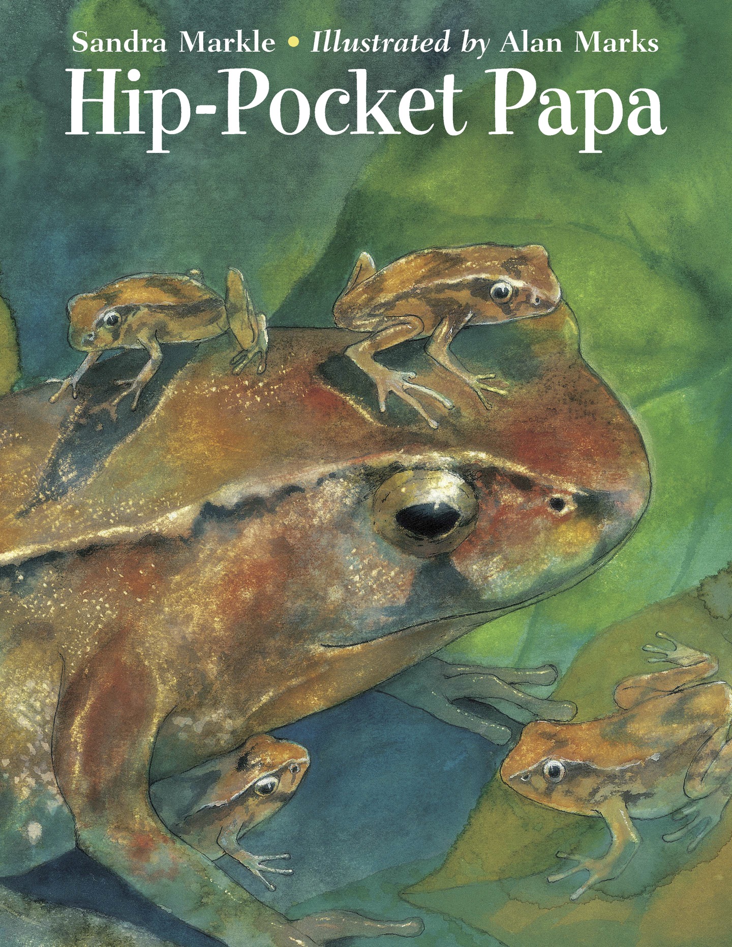 Hip-Pocket Papa