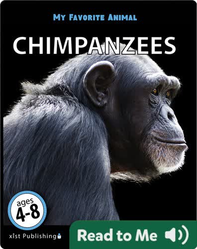 My Favorite Animal: Chimpanzees