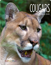 Cougars
