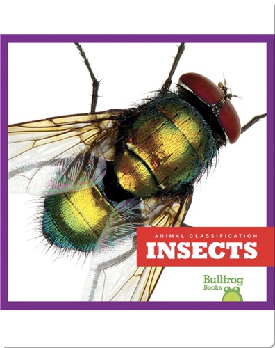 Animal Classification: Insects