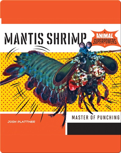 Mantis Shrimp: Master of Punching