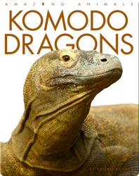 Komodo Dragons