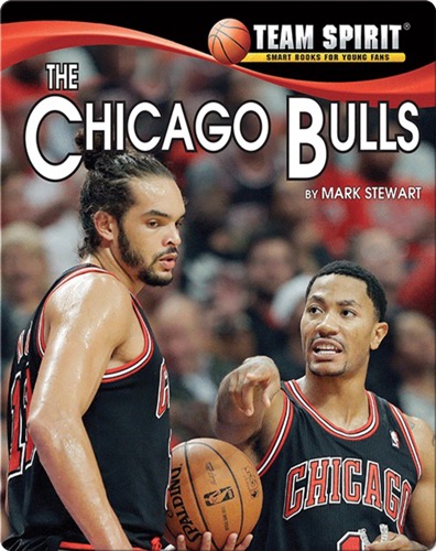 The Chicago Bulls