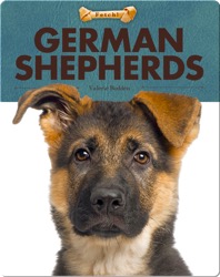 German Shepherds
