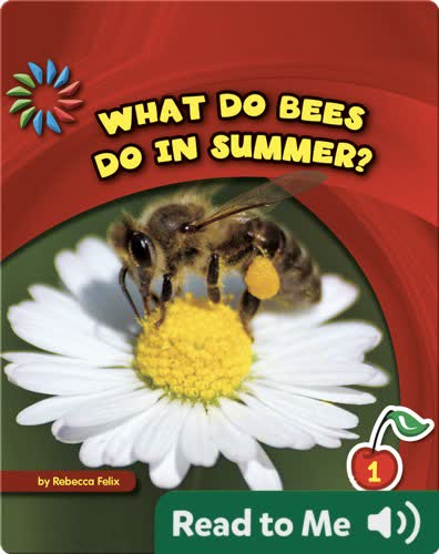 What Do Bees Do in Summer?