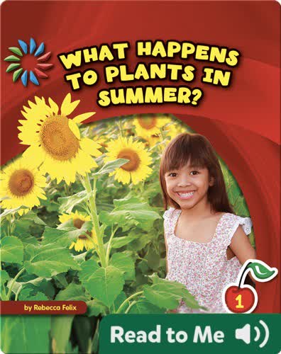 What Happens to Plants in Summer?