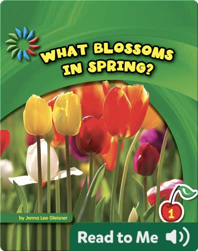 What Blossoms in Spring?