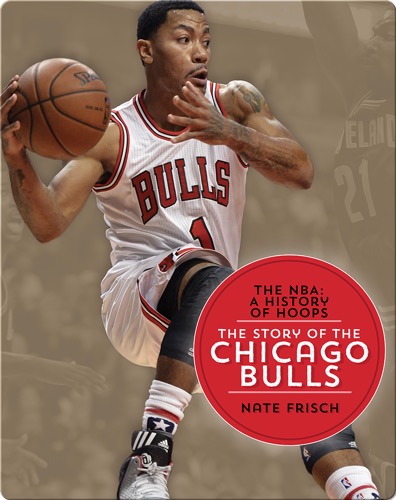 The Story of the Chicago Bulls