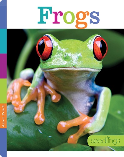 Frogs
