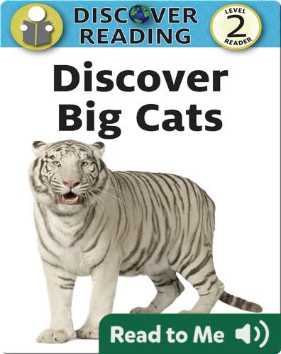 Discover Big Cats