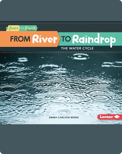From River to Raindrop: The Water Cycle