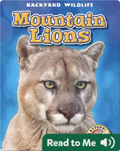 Backyard Wildlife: Mountain Lions