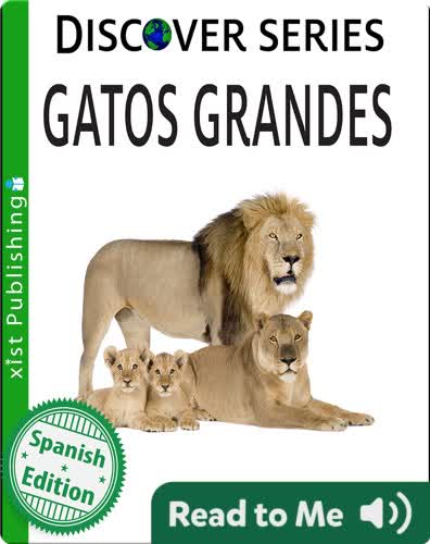 Gatos Grandes