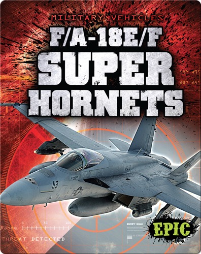 F/A-18E/F Super Hornets
