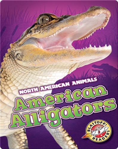 American Alligators
