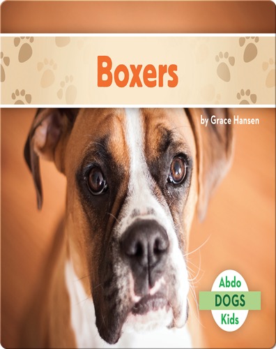 Boxers