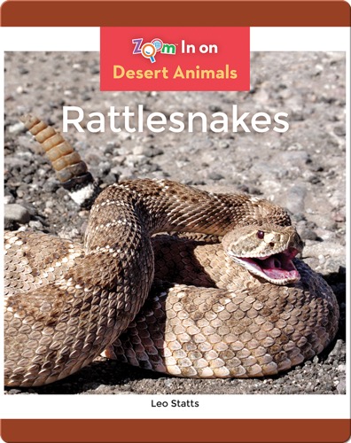 Rattlesnakes