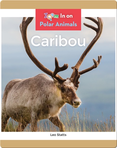 Caribou