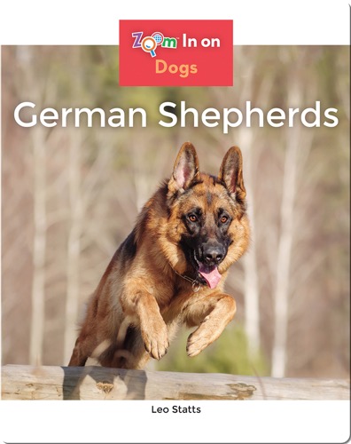 German Shepherds