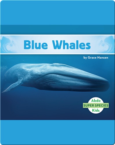 Blue Whales