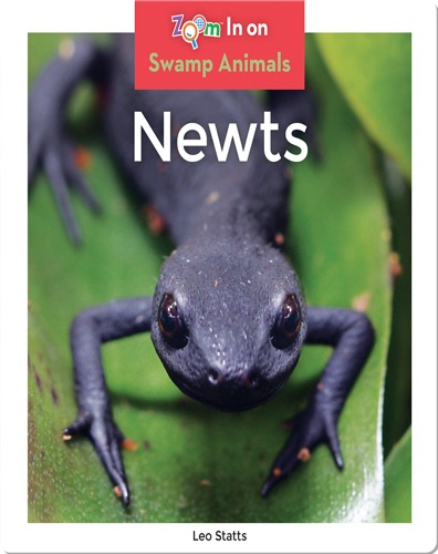 Newts