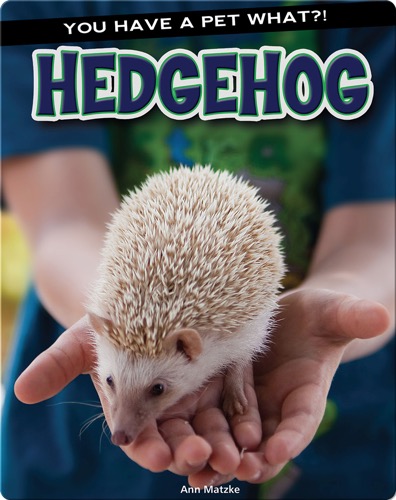Hedgehog