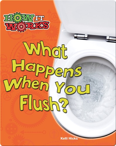 What Happens When You Flush?